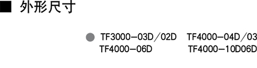 天工過濾器-TF3000-03D系列